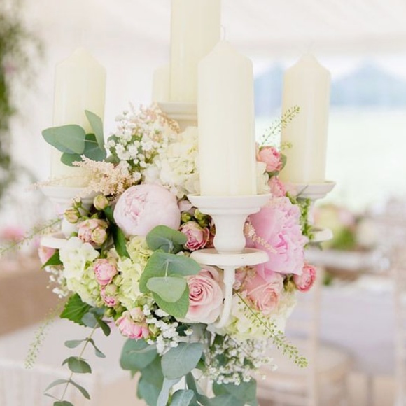 Meet your Posher,Tera - Picture 4 of 4